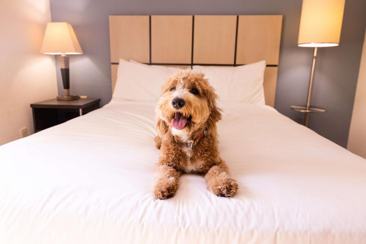 Sonesta Simply Suites Chicago Waukegan Ngoại thất bức ảnh